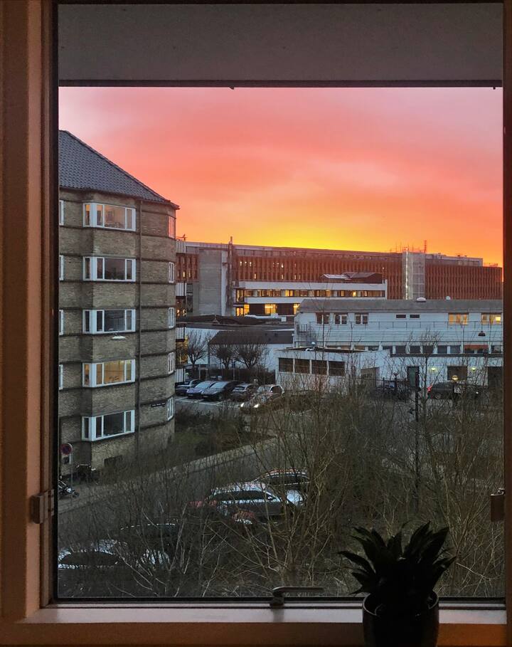 Cozy & stylish apartment in quite area, Copenhagen Condominiums for