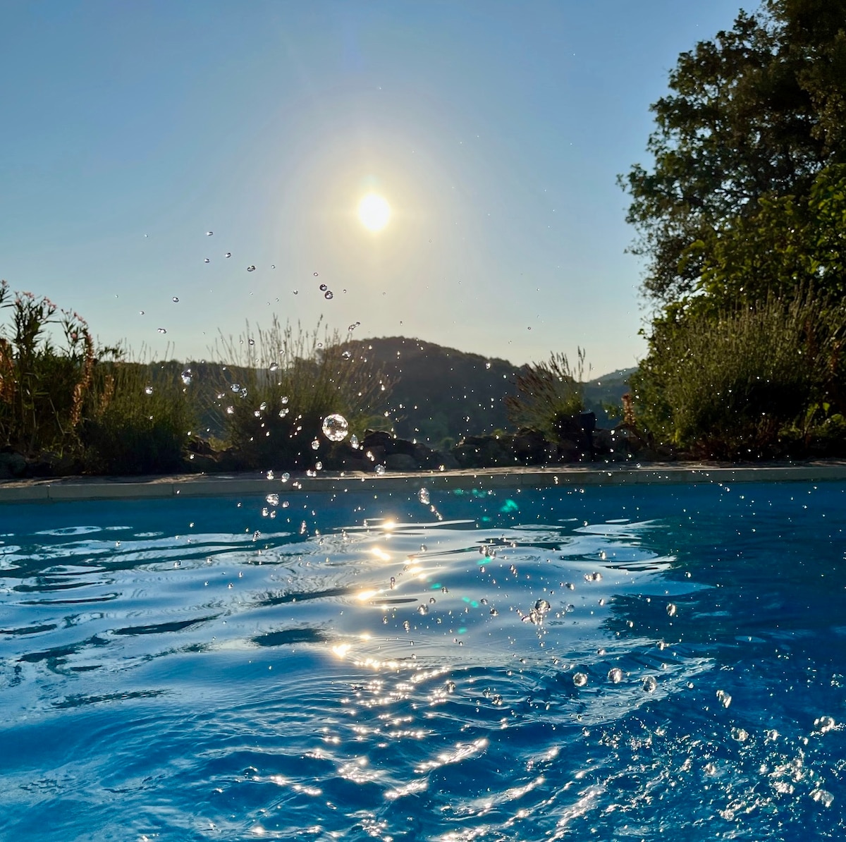 The image captures the sun rising over a serene landscape, with its light shimmering on the surface of a tranquil pool. Water droplets are visible, creating a refreshing vibe, while surrounding greenery adds to the natural setting.