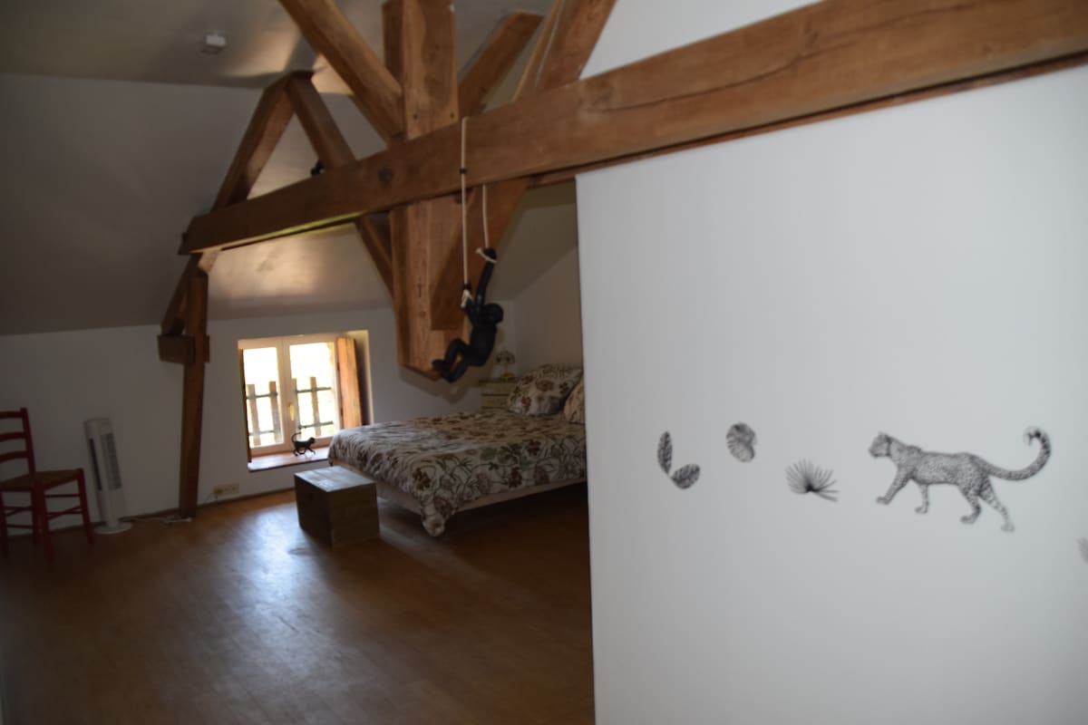 sveukupni pogled na prostoriju „džungle”