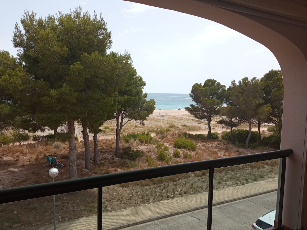 A view from a balcony showcases a coastal landscape. Pine trees line the edge of the sandy beach, which stretches into the distance. The sea is visible beyond the beach under an overcast sky, creating a serene connection with nature.