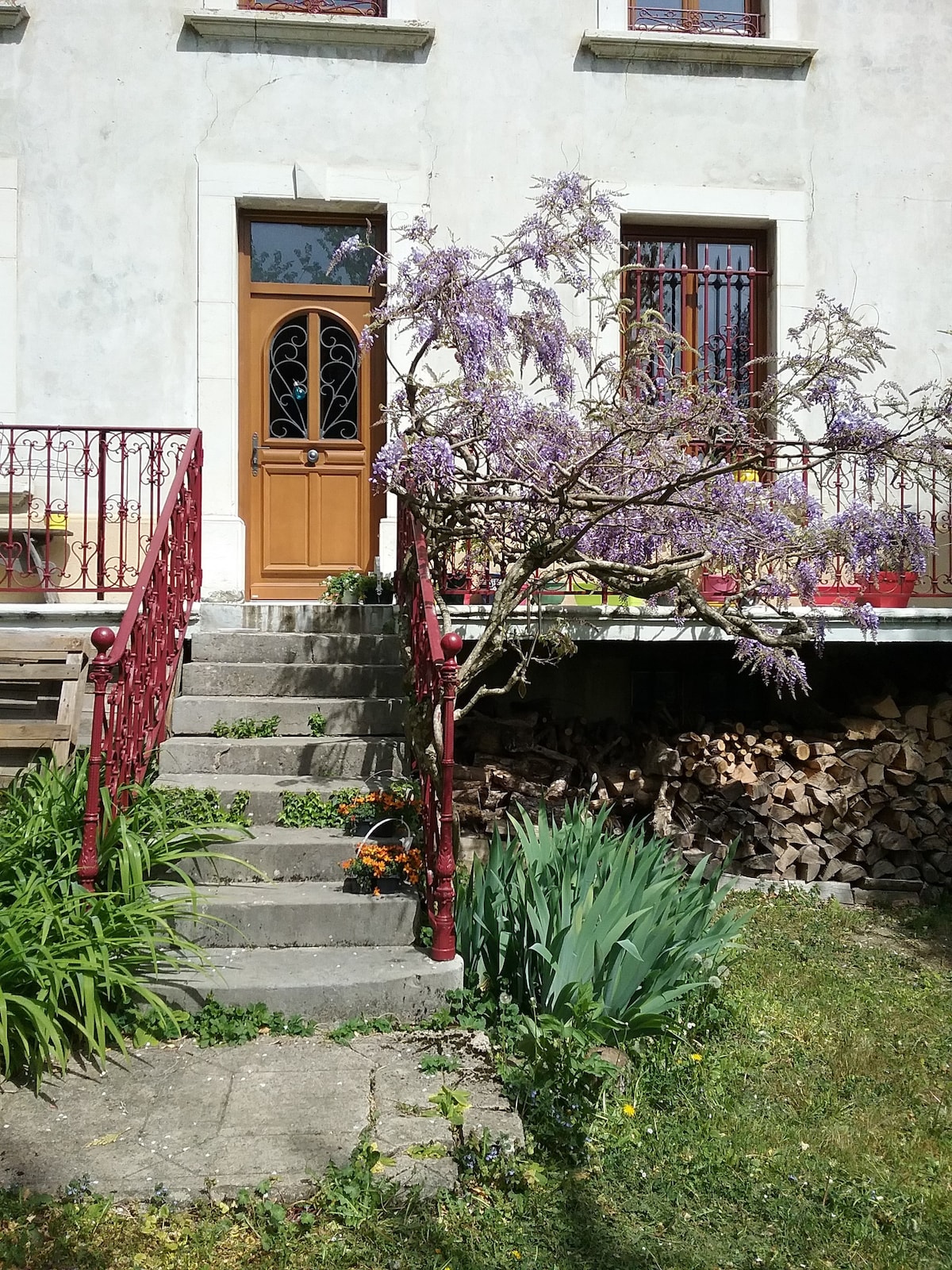 A charming entrance is framed by steps leading to a wooden door with a decorative glass panel. A wisteria tree blooms with purple flowers beside the staircase, surrounded by lush greenery. A stack of wood is visible under the overhang, adding to the rustic appeal.