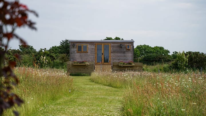 Peninsula Pastures photo 2