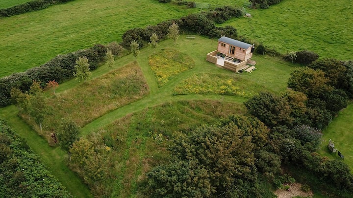 Hut site in Dunelty