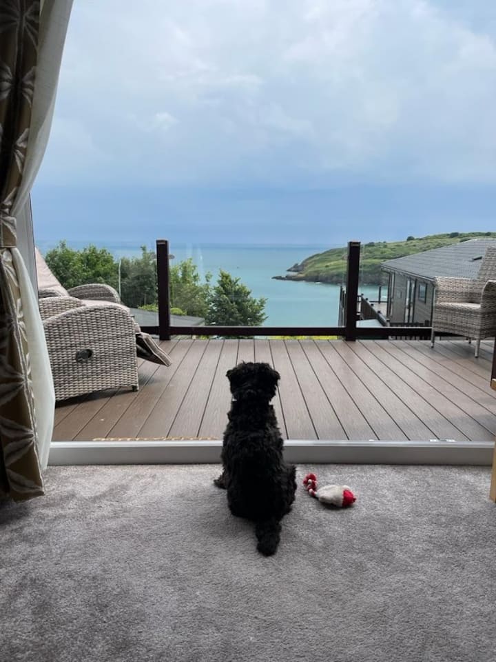 Luxury 3 Bedroom Lodge Overlooking St Mary's Bay Holiday homes for Rent in Torbay, England