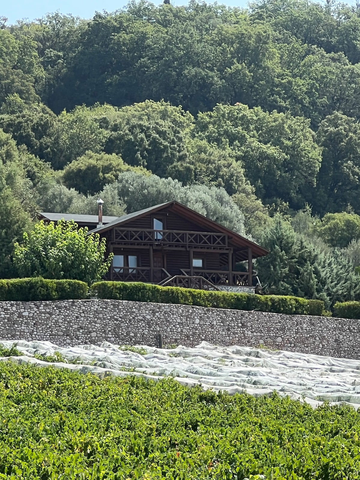 A two-story wooden chalet is set amidst lush greenery, surrounded by a private vineyard. The structure features a wide balcony, offering views of the natural landscape. Rows of vines are visible in the foreground, partially covered for protection.