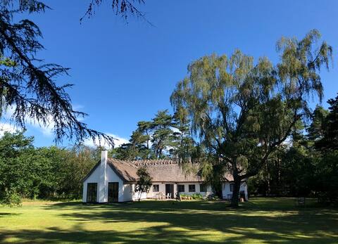 Probably the best summerhouse in town (Denmark)..