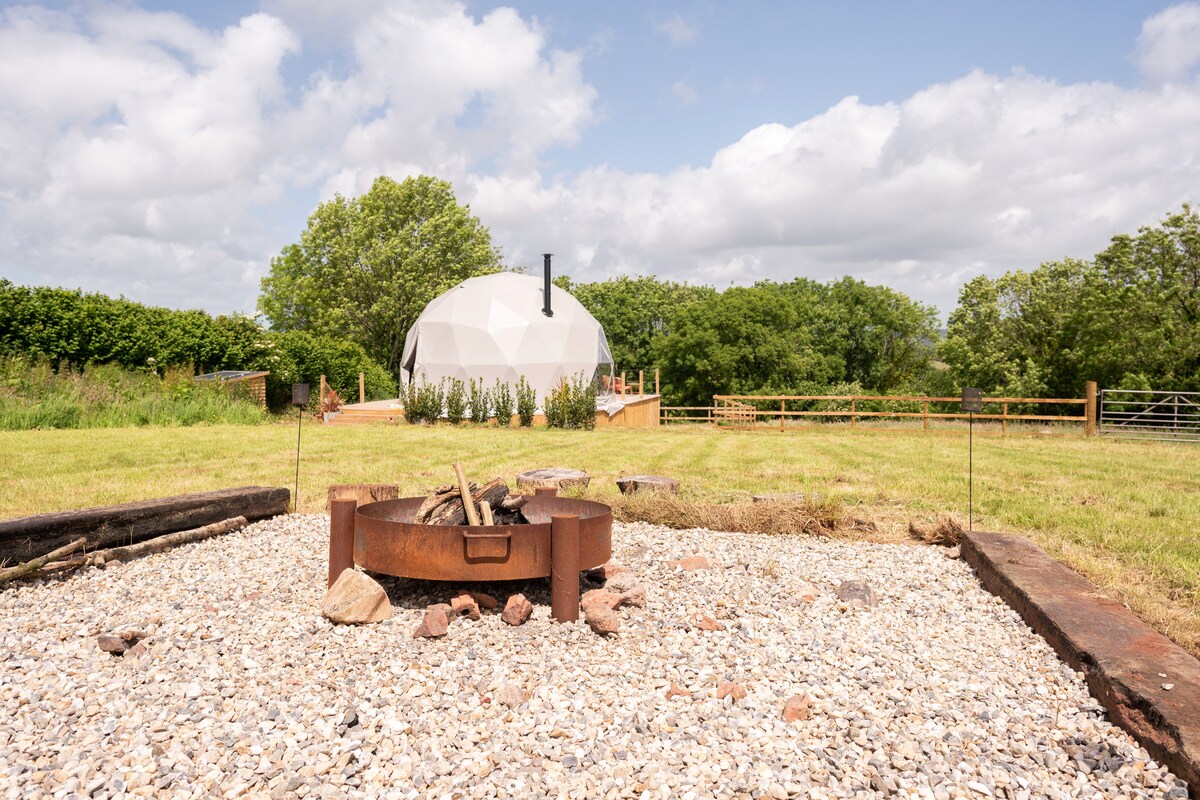 Propriété Airbnb réussie: Glamping retreat: dome & wagon with alpacas, Devon à Coffinswell