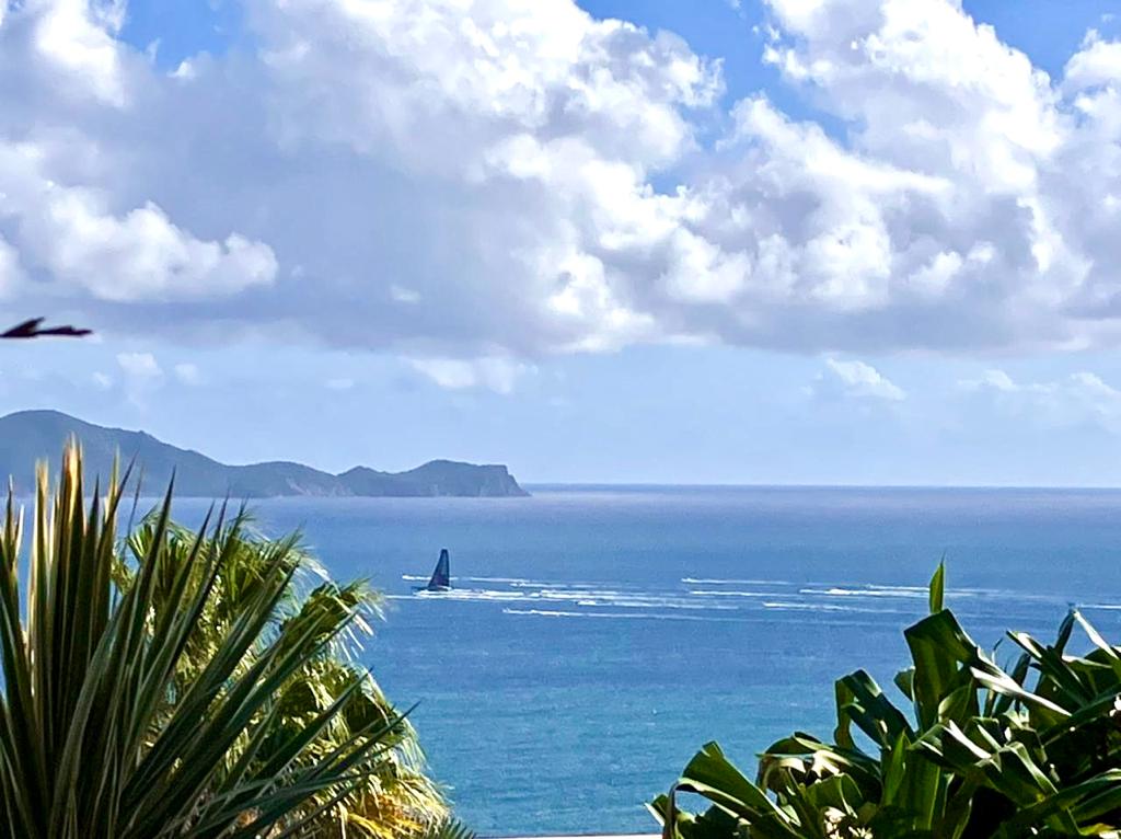 A view of the sea and distant coastline is framed by vibrant green palm leaves. A sailboat glides across the water, leaving a wake behind. The scene is illuminated by bright sunlight and scattered white clouds.