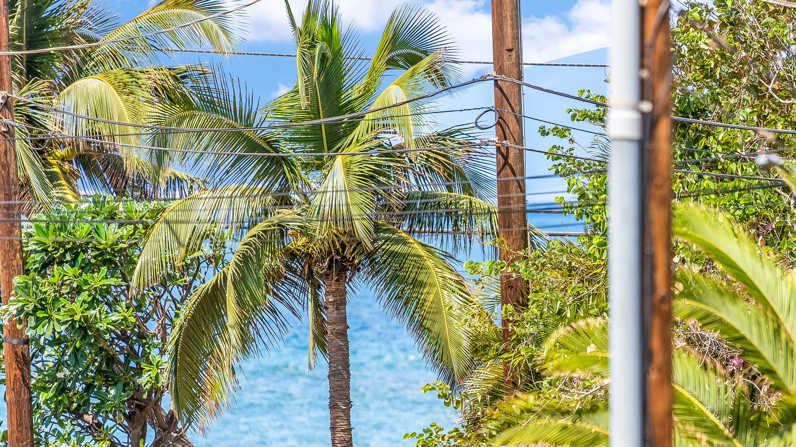 Condo in Kihei · ★4.96 · 4 bedrooms · 6 beds · 4 private baths - Image 68