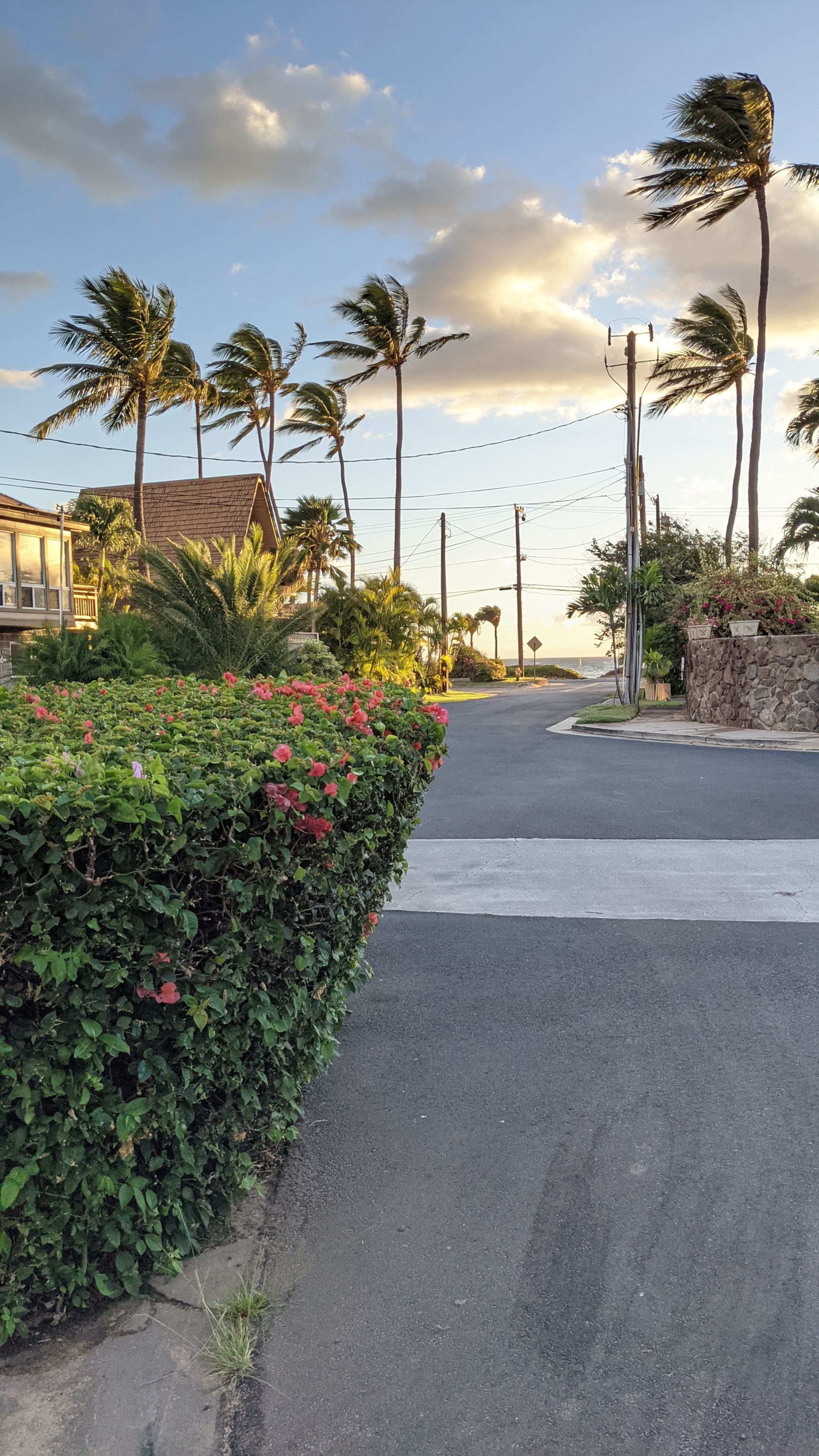 Condo in Kihei · ★4.96 · 4 bedrooms · 6 beds · 4 private baths - Image 67