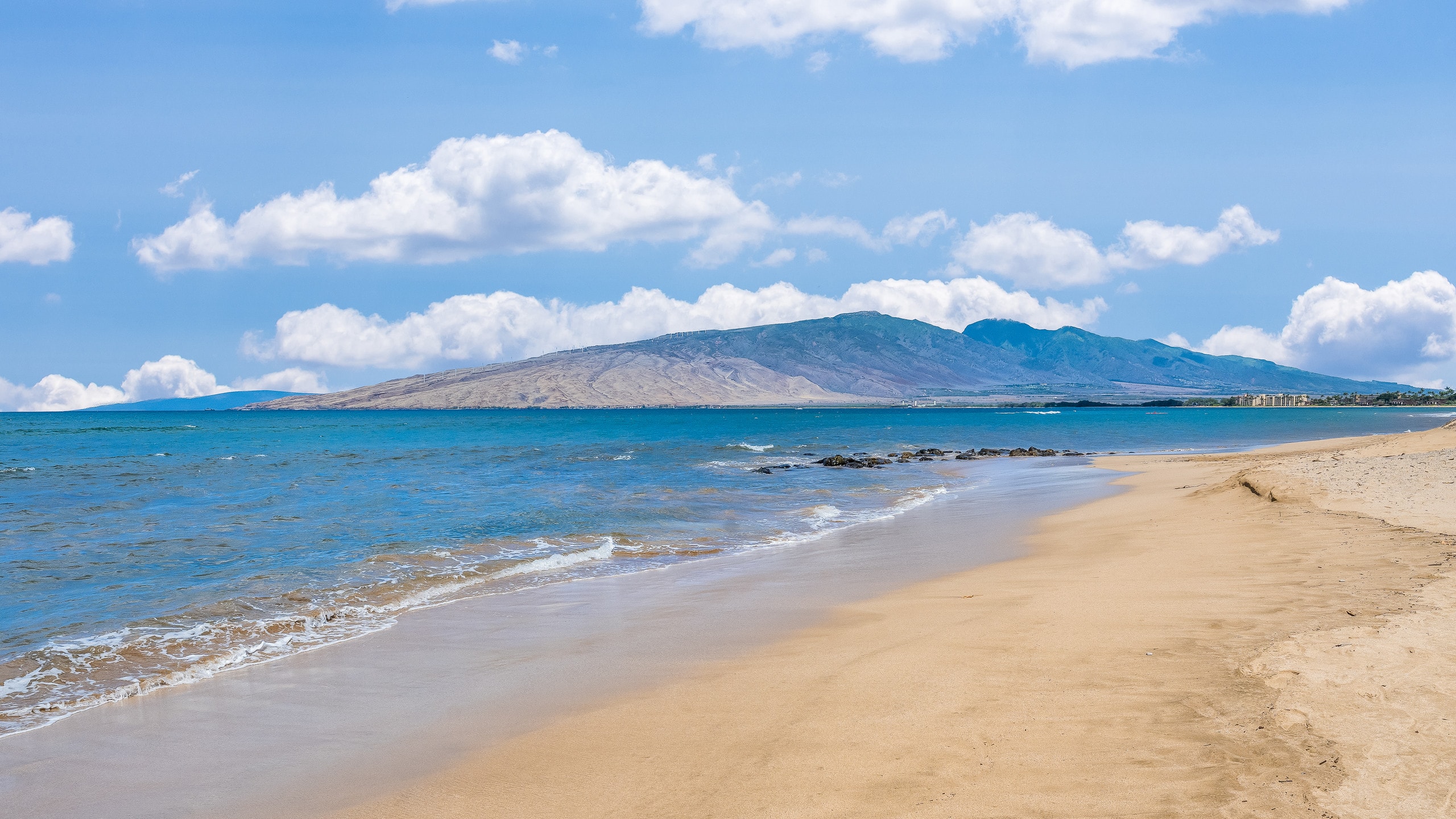 Condo in Kihei · ★4.96 · 4 bedrooms · 6 beds · 4 private baths - Image 69
