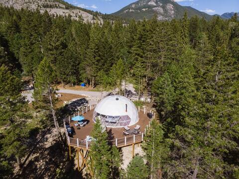Cougar Dome at Winderdome Resort!