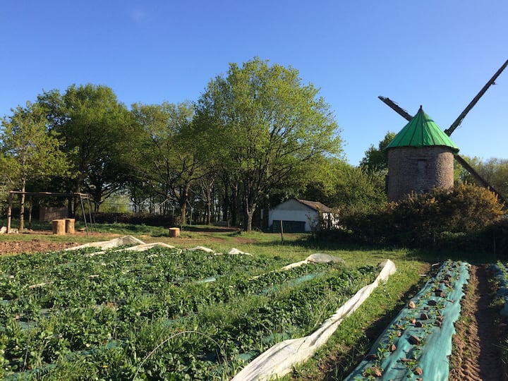Roulotte Sous Les Arbres Dans Camping à La Ferme - Bain-de-Bretagne