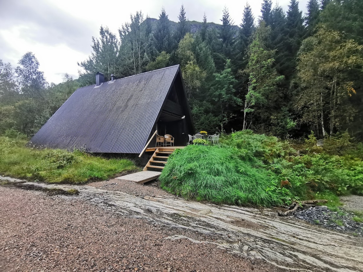 A modern cabin with a distinctive peaked roof is set against a backdrop of lush greenery and tall trees. A wooden deck extends from the cabin's entrance, featuring outdoor seating options. The pathway leading to the cabin is bordered by natural stone and grass.