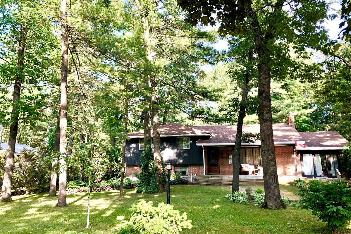 A spacious retreat is nestled among tall trees, showcasing a mix of greenery and sunlight filtering through the leaves. The exterior features a mix of brick and dark siding, with inviting entry steps and a seating area visible at the front.