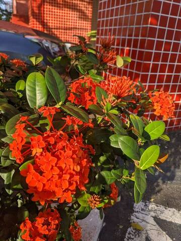 Apartamento em frente ao Rock in Rio!! gallery image 2