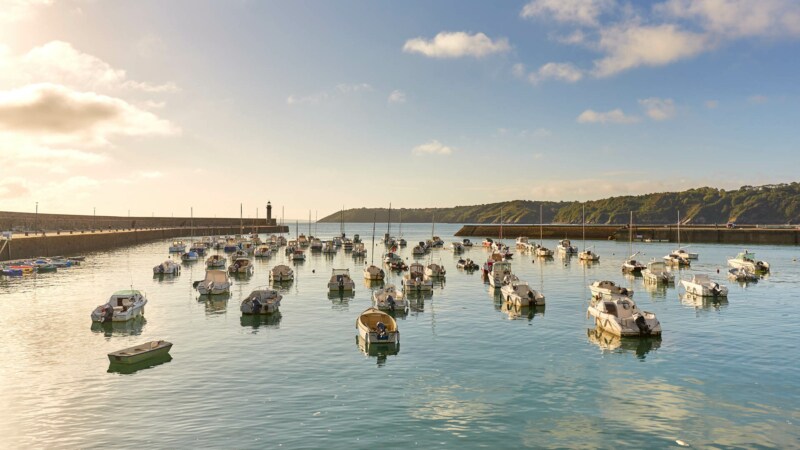 A serene harbor scene is displayed with numerous small boats floating on calm waters. The gentle reflections of the boats are visible, accompanied by a backdrop of green hills under a clear sky with scattered clouds.