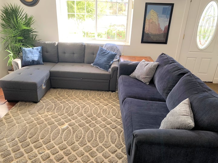 Living room with sofa and convertible couch