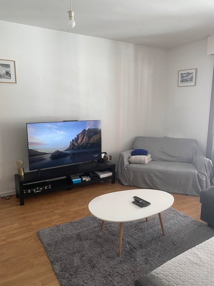 Beautiful citycenter apartment with parking Apartments for Rent in