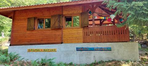 The KALM of nature, the pain of the forest