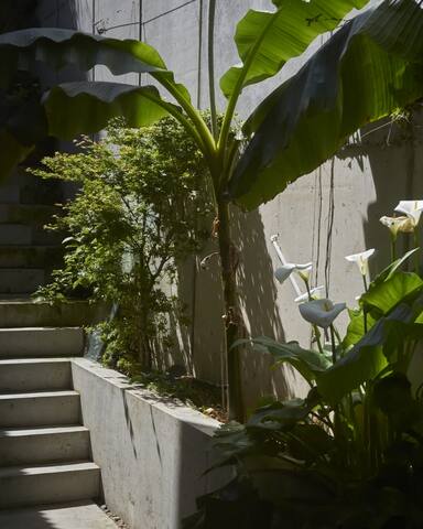 Modernist 6 bedroom house in Battersea, London gallery image 3