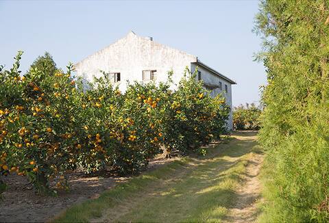# eco-friendly # Jeju private house # farm experience accommodation # free experience experience | LITTTL.DEOKSU