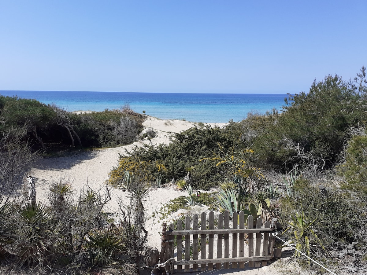 A serene coastal view reveals a sandy beach leading to azure waters. Dunes adorned with greenery frame the scene, highlighting the natural landscape. A wooden fence is visible in the foreground, contributing to the tranquil ambiance of the surroundings.