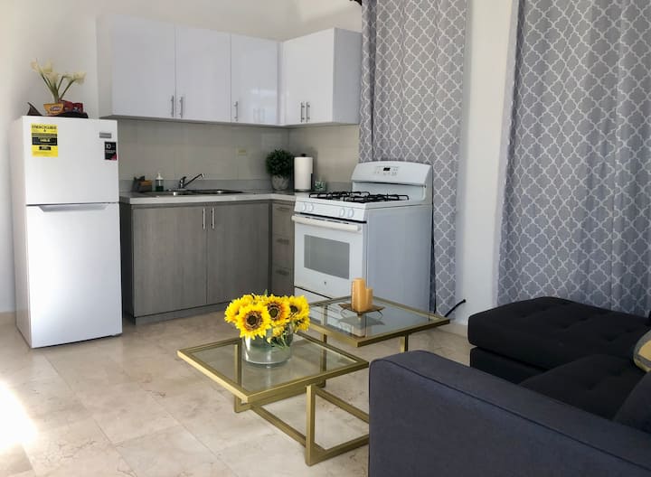 Hato Rey Central Holiday Rentals & Homes Hato Rey Central, San Juan, Puerto Rico Airbnb