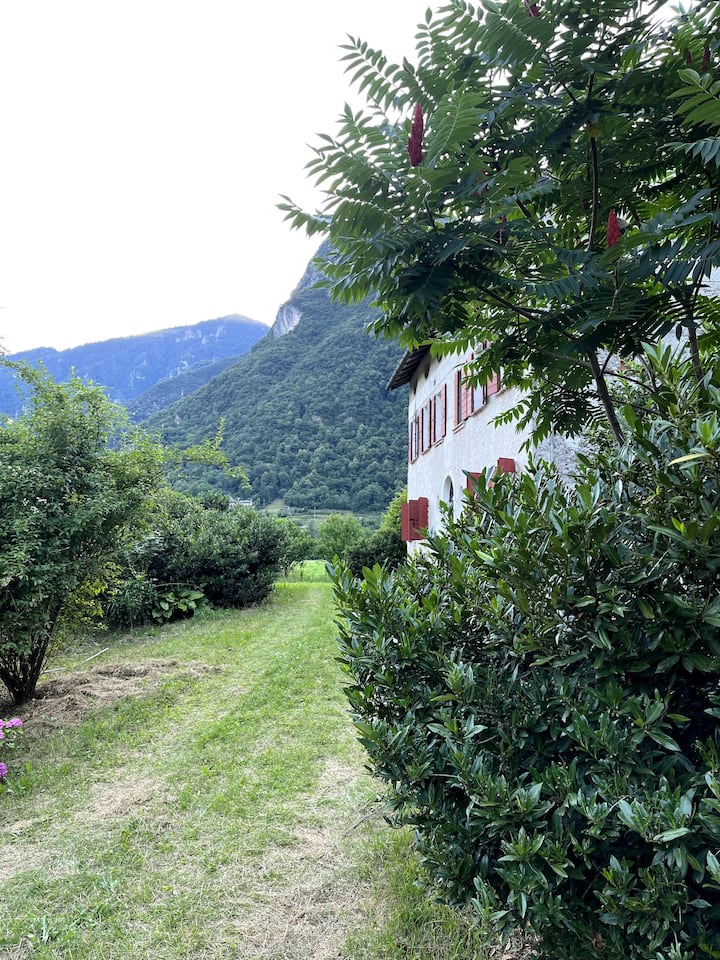 Valbelluna Ferienwohnungen & Unterkünfte Italien Airbnb