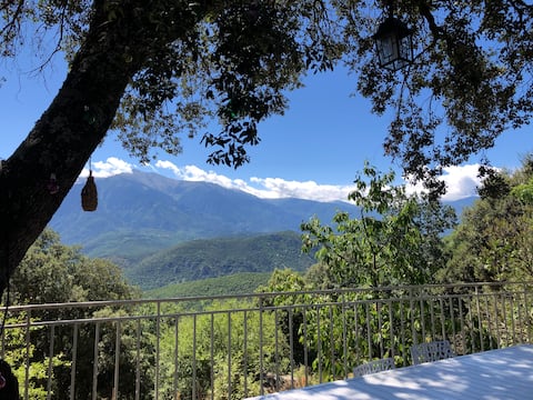 Alone in the world - a private farmhouse facing the Canigou