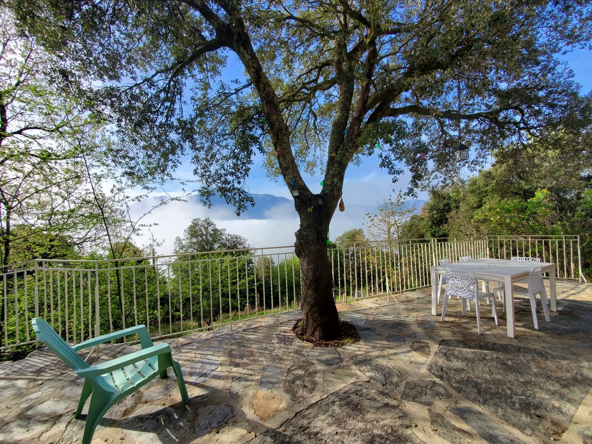 A spacious terrace features a large table surrounded by chairs, situated under a shady tree. The view showcases lush greenery and distant mountains, partially enveloped in mist, creating a serene outdoor setting.