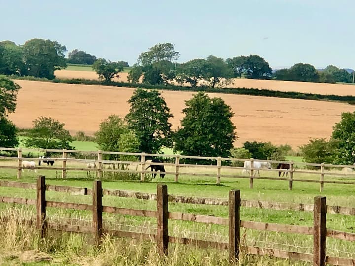 Country Lodge photo 5