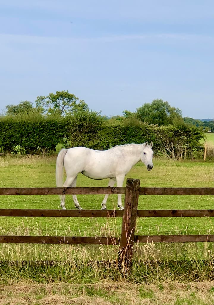 Country Lodge photo 4