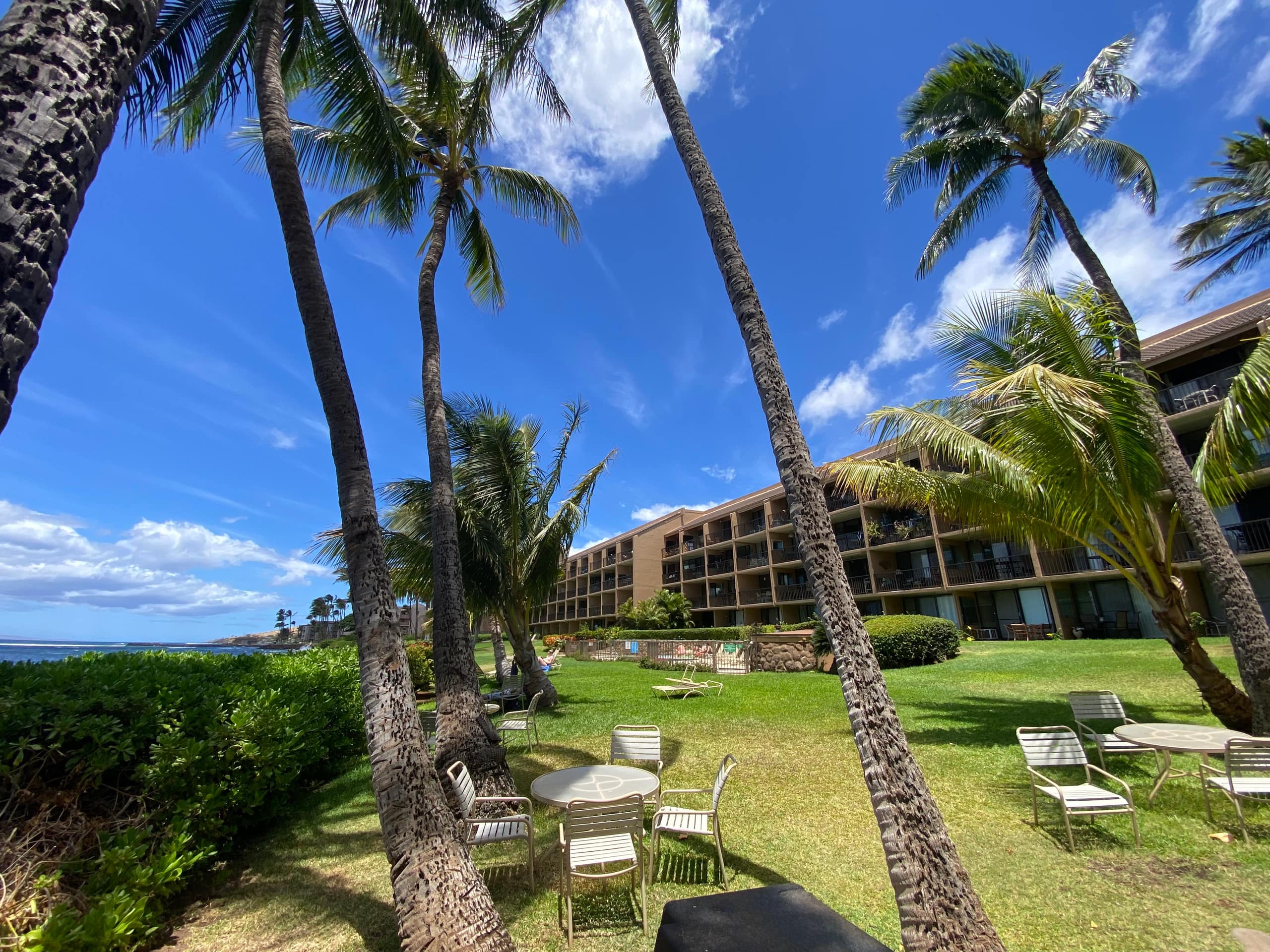 Condo in Wailuku · ★4.9 · 1 bedroom · 1 bed · 1 bath - Image 11