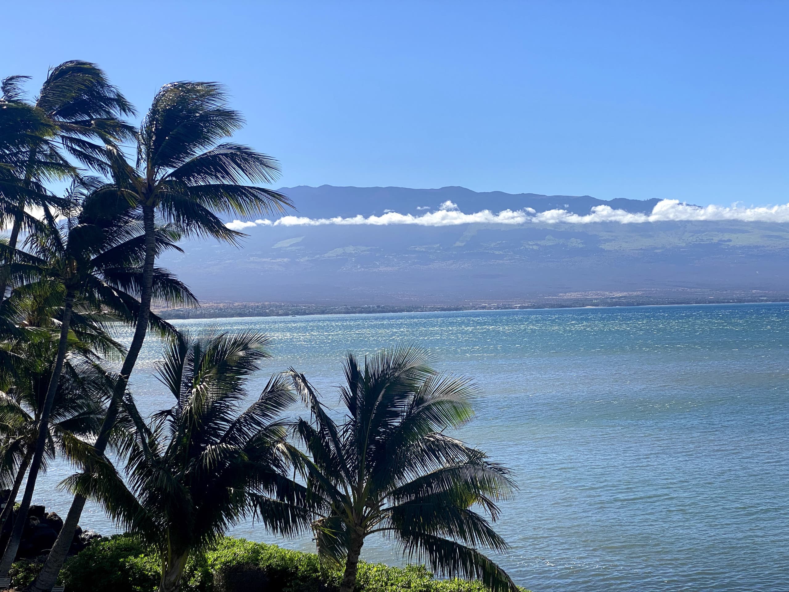 Condo in Wailuku · ★4.9 · 1 bedroom · 1 bed · 1 bath - Image 28