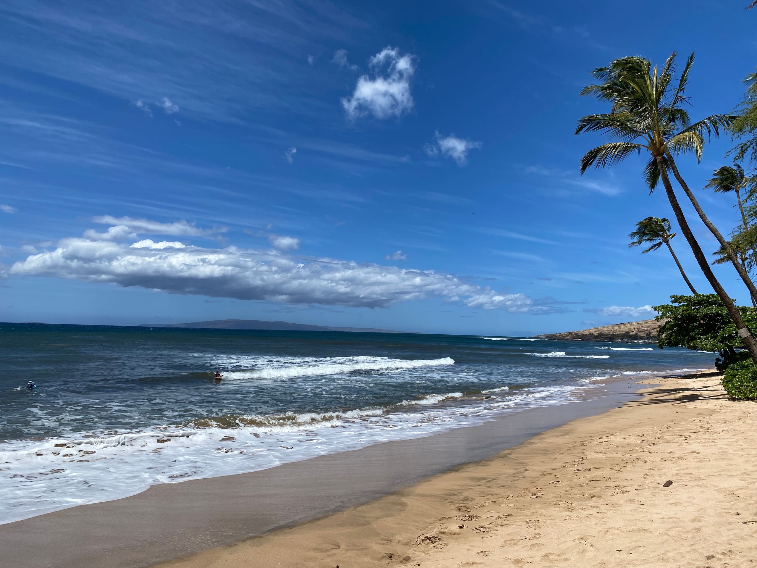 Condo in Wailuku · ★4.9 · 1 bedroom · 1 bed · 1 bath - Image 24