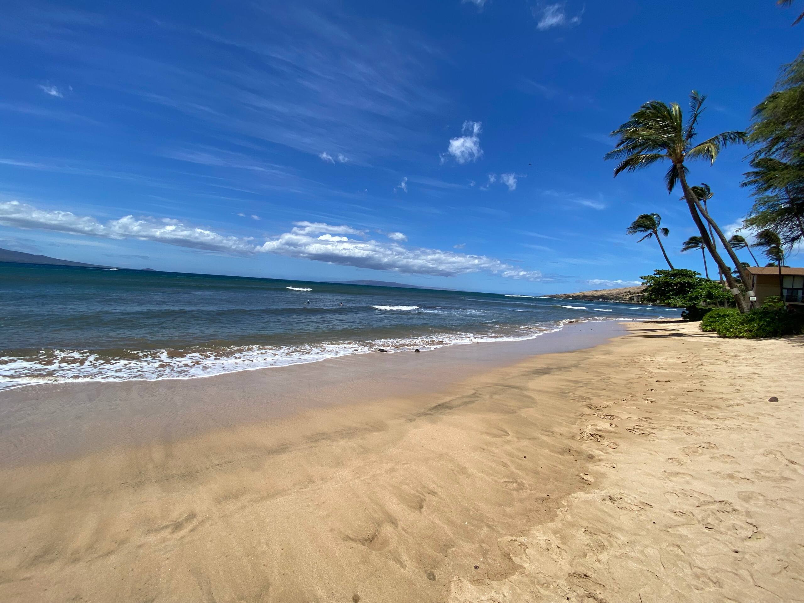 Condo in Wailuku · ★4.9 · 1 bedroom · 1 bed · 1 bath - Image 22
