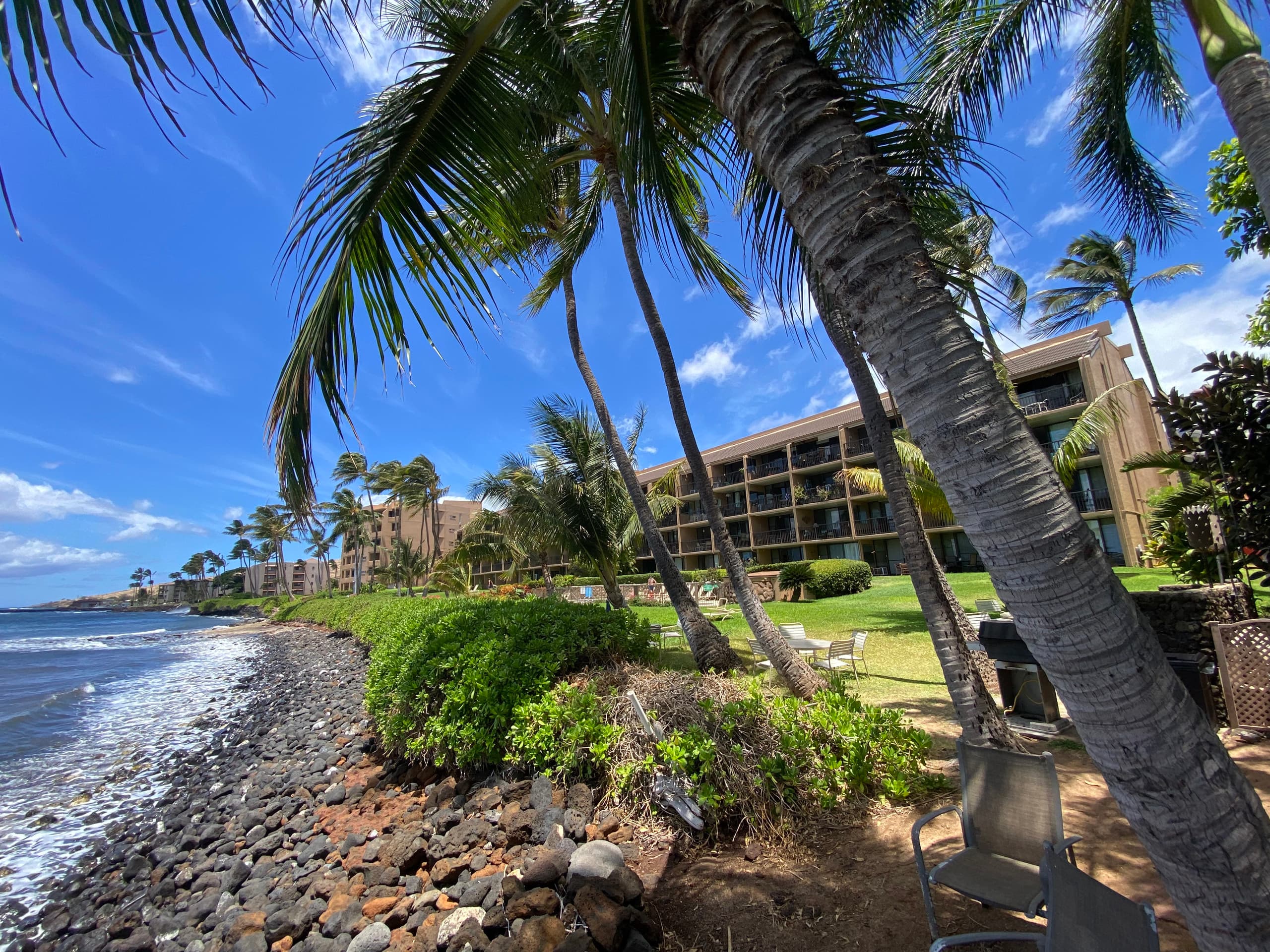 Condo in Wailuku · ★4.9 · 1 bedroom · 1 bed · 1 bath - Image 23