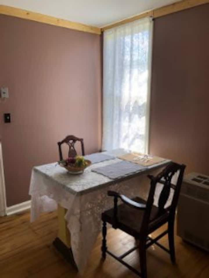 Quiet Ground Floor Apartment Historic Gavin House Apartments for