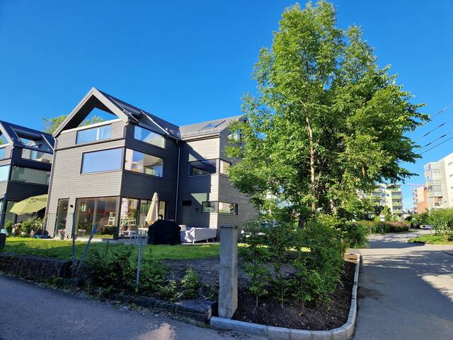 Entire modern house in central Oslo