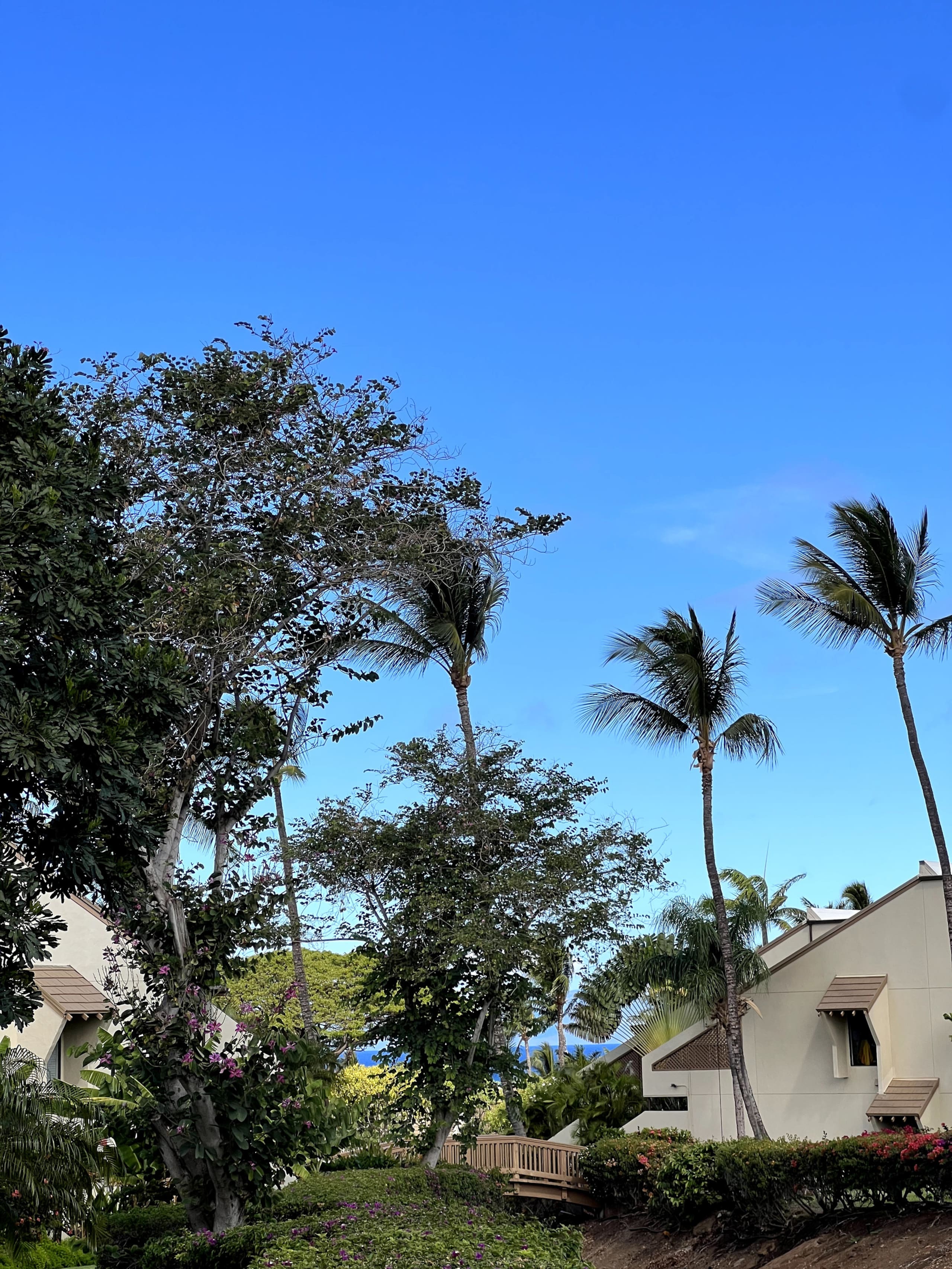 Condo in Kihei · ★4.99 · 1 bedroom · 2 beds · 2 baths - Image 54