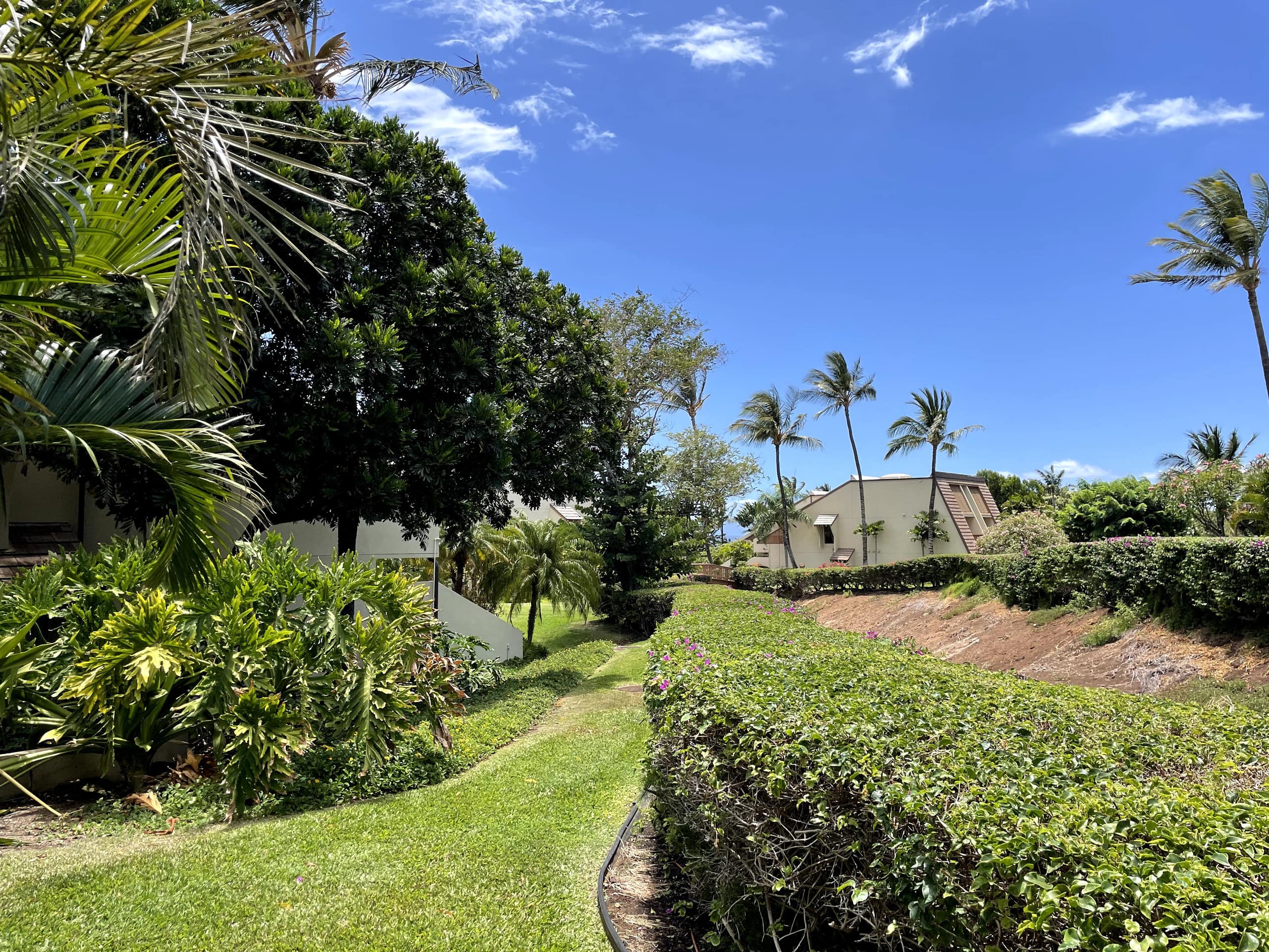 Condo in Kihei · ★4.99 · 1 bedroom · 2 beds · 2 baths - Image 53