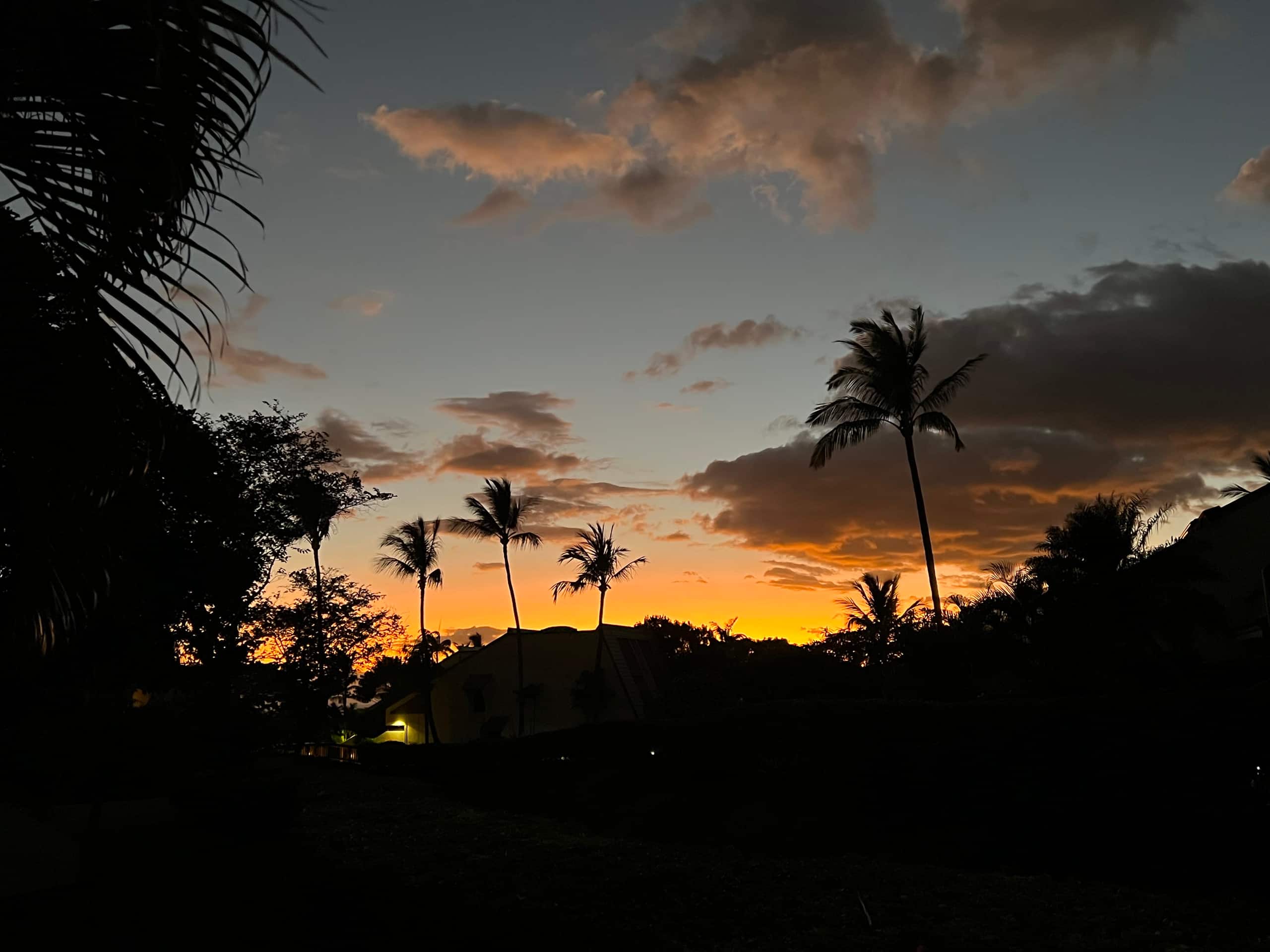 Condo in Kihei · ★4.99 · 1 bedroom · 2 beds · 2 baths - Image 80