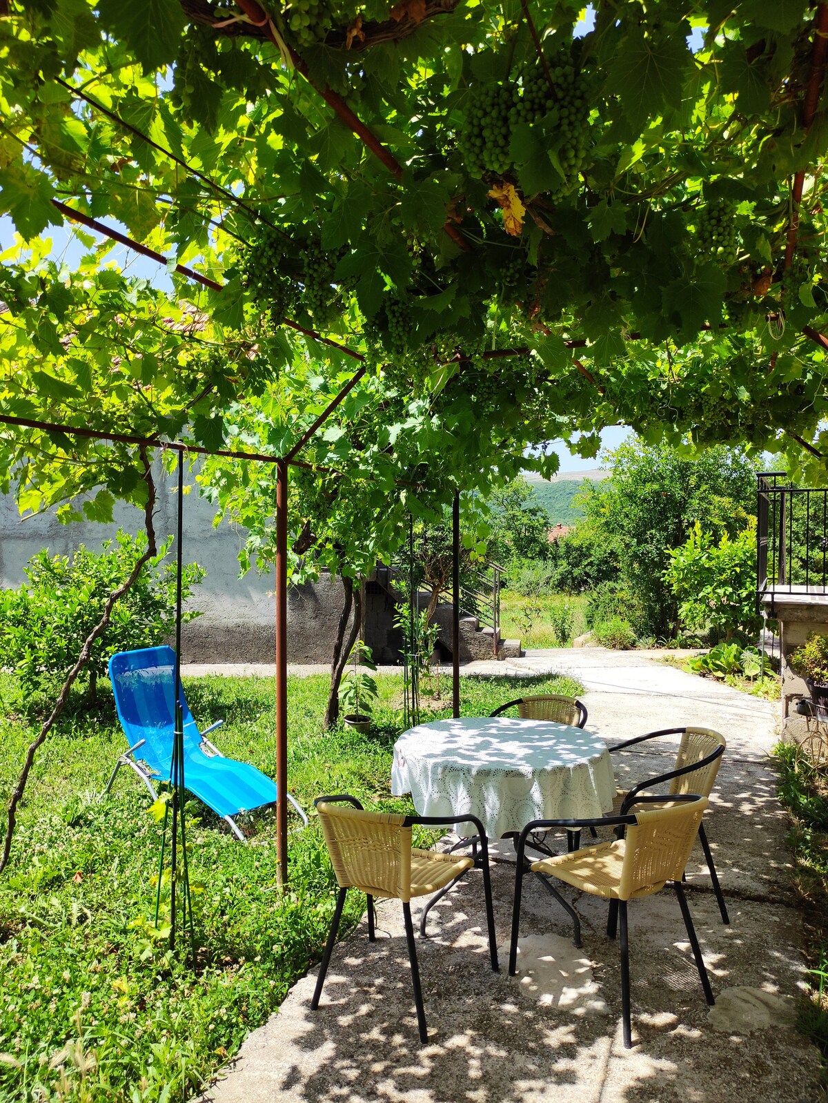 A shaded garden area is created by lush grapevines overhead, featuring a small table surrounded by four chairs. A lounge chair is positioned nearby, and greenery fills the surrounding landscape, providing a serene outdoor setting.