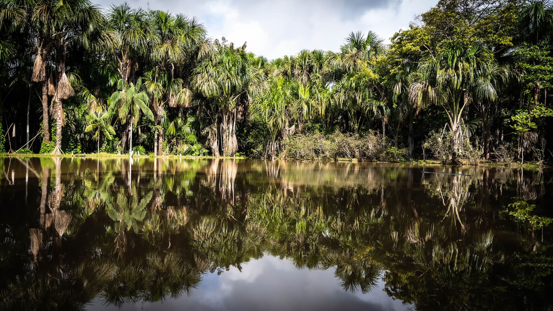 Amazon River Villa Vacation Rentals | Airbnb