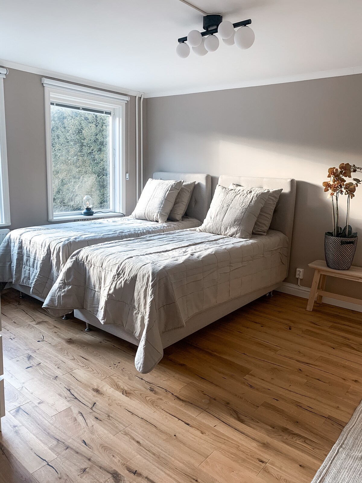 A bright sleeping area features two spacious beds positioned beside large windows, allowing natural light to fill the room. Light-colored bedding complements the neutral wall tones. A small decorative plant rests on a minimalist bedside table, enhancing the peaceful ambiance.