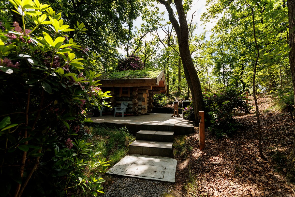 A charming entrance to the cabin is framed by lush greenery and colorful flowering plants. Stone steps lead up to a spacious porch, which features outdoor seating. Sunlight filters through the leaves, creating dappled patterns on the pathway.
