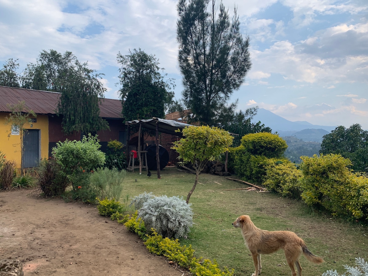 A grassy outdoor area features trimmed bushes and a landscaped garden. A wooden structure provides shade, and a light-colored dog is seen in the foreground. Majestic mountains rise in the background under a partly cloudy sky.