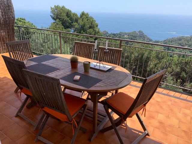 Costa Brava magnifique Villa vue mer et piscine. gallery image 5