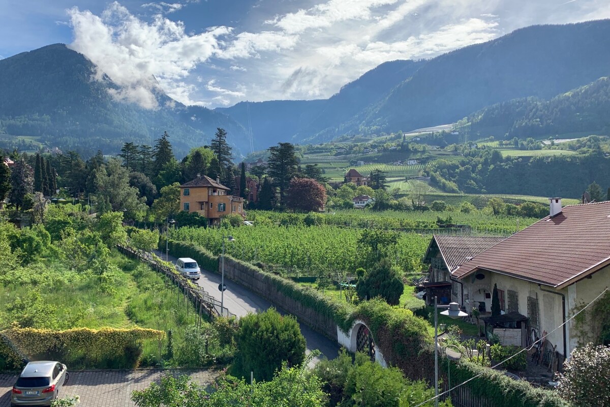 A scenic view captures rolling vineyards and mountains under a clear sky. The landscape features lush greenery, quaint houses, and a winding road. Soft light illuminates the fields, enhancing the sense of tranquility in this picturesque setting.